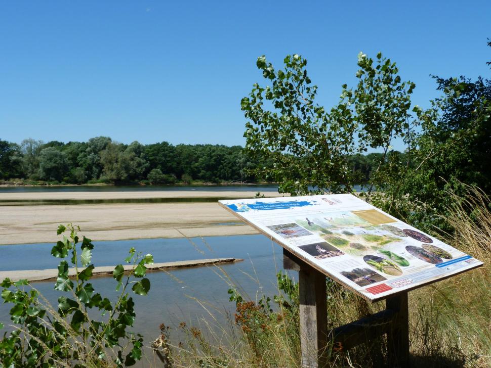 Randonnées et balades en Loiret, informations sur la faune et la flore des bords de loire